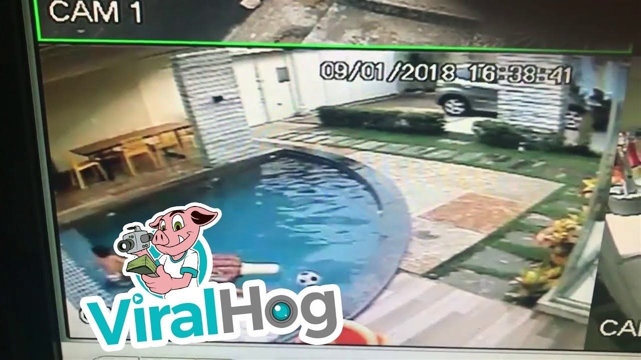 Un enfant sauve un bébé tombé dans la piscine (Brésil)