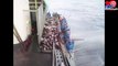 Top 10 Amazing Fishing Videos Big Catch Fish