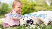 Adorable Alaskan Malamute playing with kids _ Dog Loves Baby Compilation