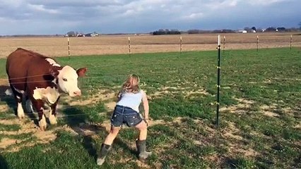 Little Girl Plays with Cow