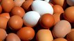 More Than 200 Million Eggs In Nine States Are Being Recalled Over Salmonella Fears