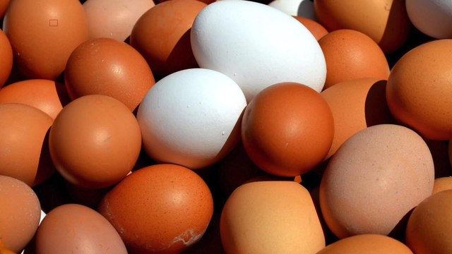 More Than 200 Million Eggs In Nine States Are Being Recalled Over Salmonella Fears