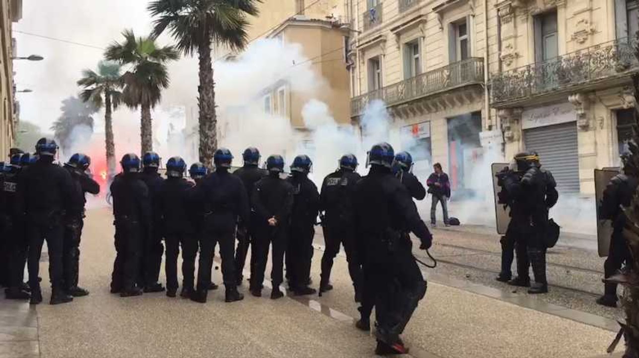 Les images des incidents à Nantes et Montpellier après des rassemblements pour Notre-Dame-des-Landes