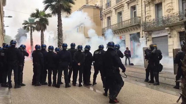 Les images des incidents à Nantes et Montpellier après des rassemblements pour Notre-Dame-des-Landes