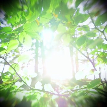 Xem Tronie rồi học hỏi cách chill nha quý dị. Phải mạnh tay như Đại Nhân và bia Beck's Ice thế này thì đố đứa nào dám hủy kèo Beck's Vietnam#BecksIce #Tho