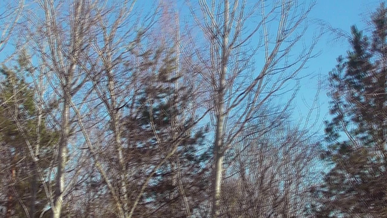 Apr 15 2018 DL8