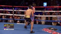 Un boxeur pro-Trump perd face à un mexicain
