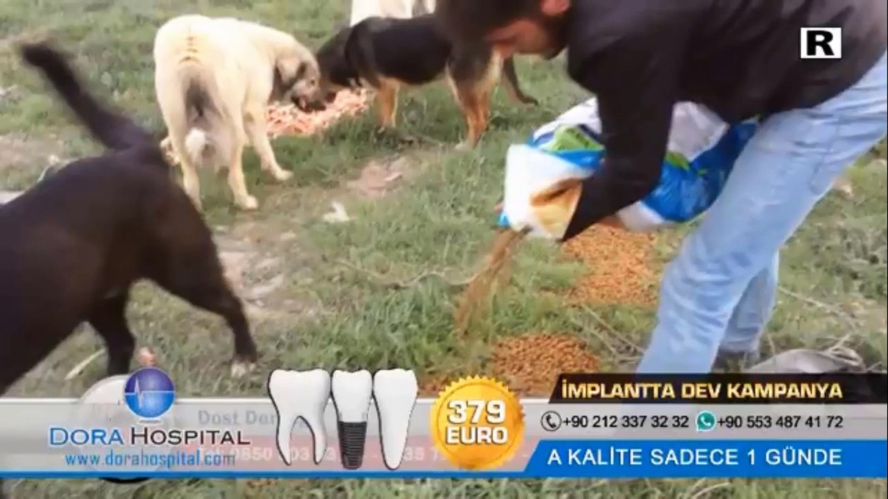 Dost Derneği TV8 Int Vitrin Programında