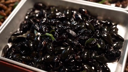 Beautiful hot Girls Eating Insects Excellent Cats