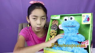 Cookie Monster Count N Crunch-Count 1,2,3, and Eat Cookies with Cookie Monster