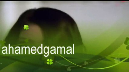 اغنية رومانسية انا قلبى دايب امير وفريحة