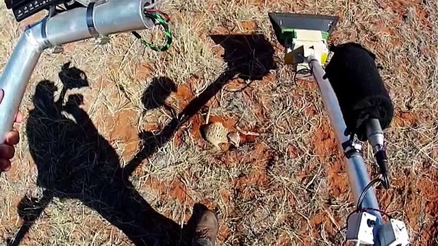 Game Of Meerkats [Episode 4 Of Kalahari Meerkats] | Wild Things