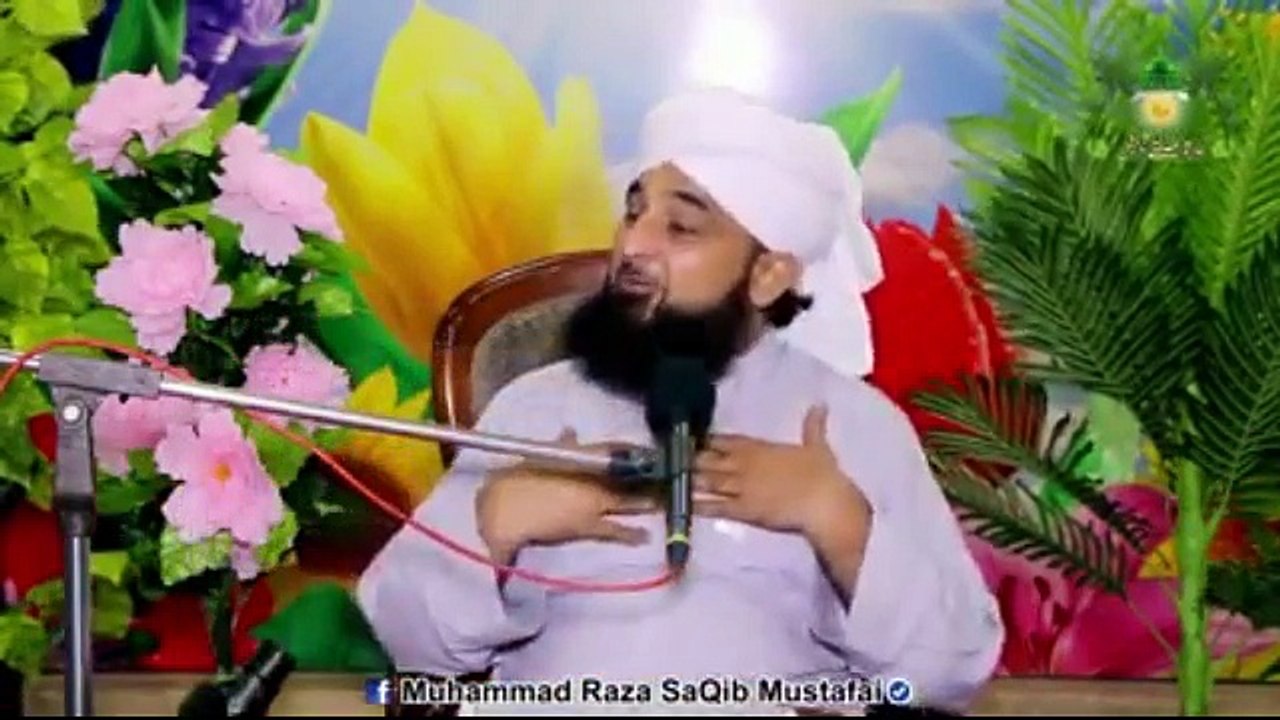 Muhammad Raza Saqib Mustafai (233)