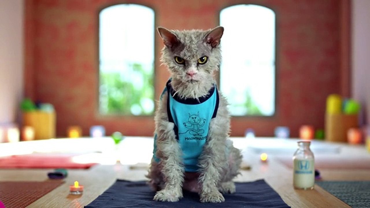 Where to service my Honda Clarksville, TN | Where to service my Ford Clarksville, TN