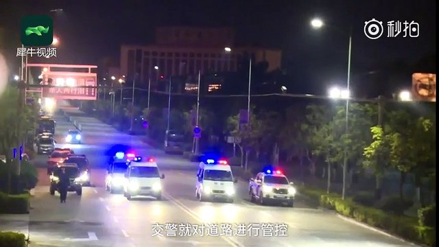 Chassé par la police cet éléphant en pleine ville de Yunnan en Chine !