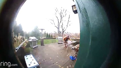 Surprise : il casse une table en verre en la soulevant !