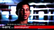 UFC 152: Joseph Benavidez Entrevista Previa
