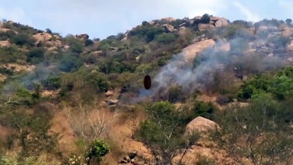 திருவண்ணாமலை அருகே பர்வத மலையில் பயங்கர காட்டுத் தீ-வீடியோ