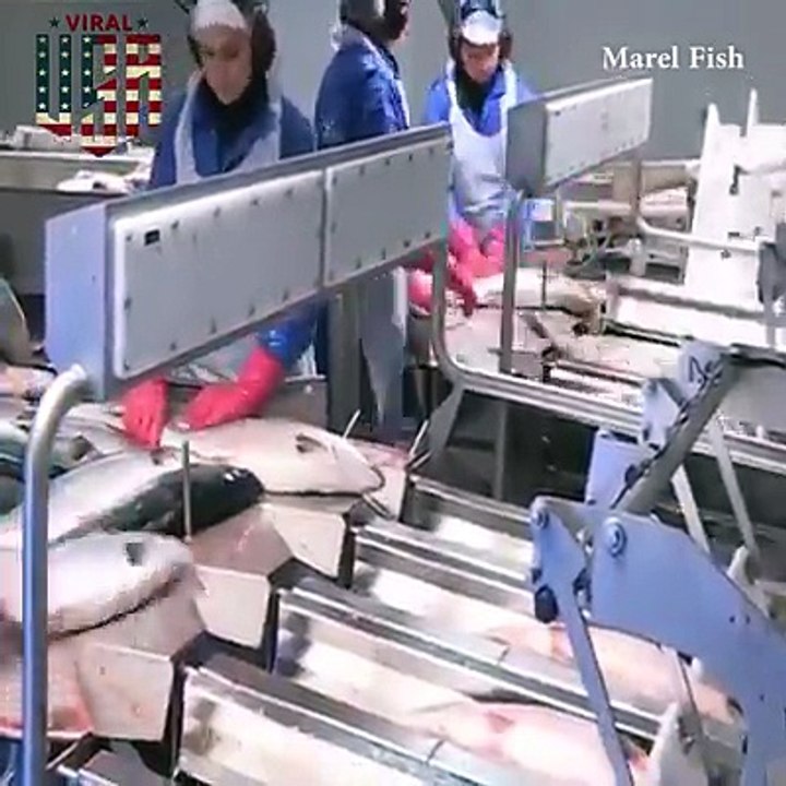 AMAZING FISHING TECHNOLOGY