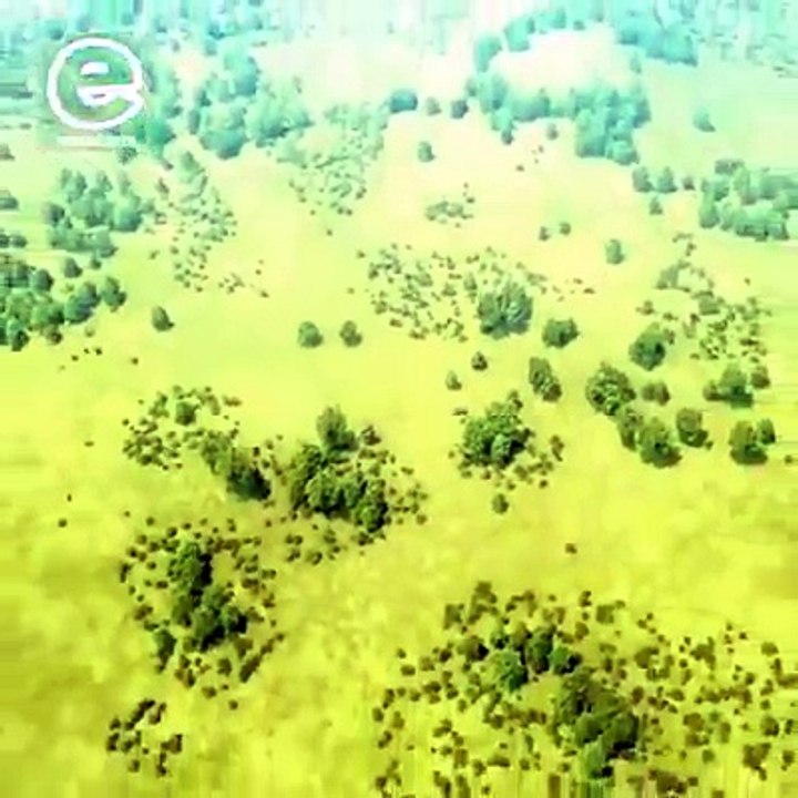 Advance war technology
