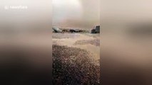 Powerful tornado rips through Algerian city, destroying homes