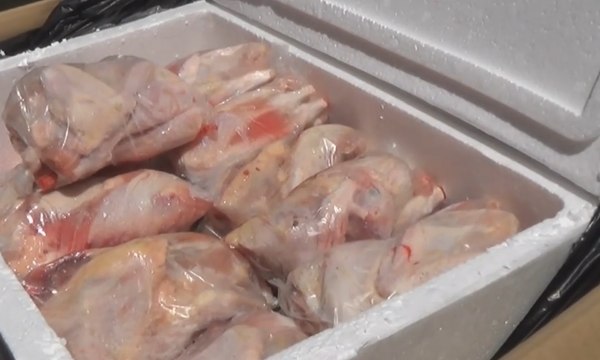 850 Kg Daging Bebek dan Ayam Diselundupkan