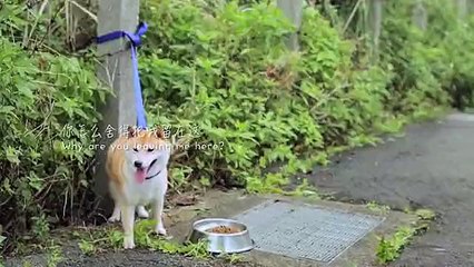 Çocuğunuzu aynı şekilde terk edebilir misiniz?