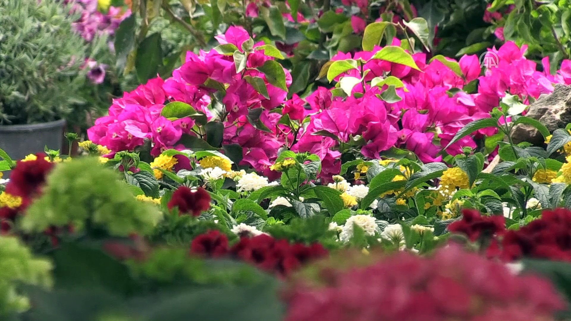 Bahcenize Florist Dokunusu Yapin Bloom Fresh Blog