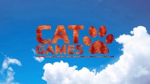 CAT GAMES - CATCHING GOLDFINCHES (ENTERTAINMENT VIDEOS FOR CATS TO WATCH)