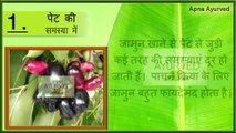 जामुन एक स्वादिस्ट औसधि || Amazing Health Benefits of Jambul || Jamun Khane ke Fayde || Apna Ayurved