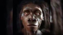 1 dakikada insan yüzünün 6 milyon yıllık değişimi