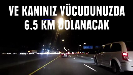 30 saniyede insan vücudunda neler oluyor?