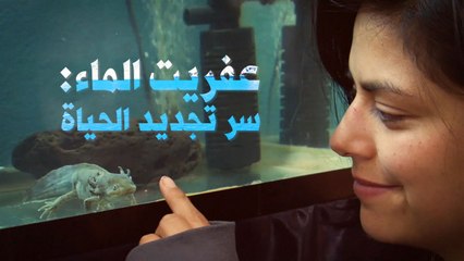 عفريت الماء: سر تجديد الحياة