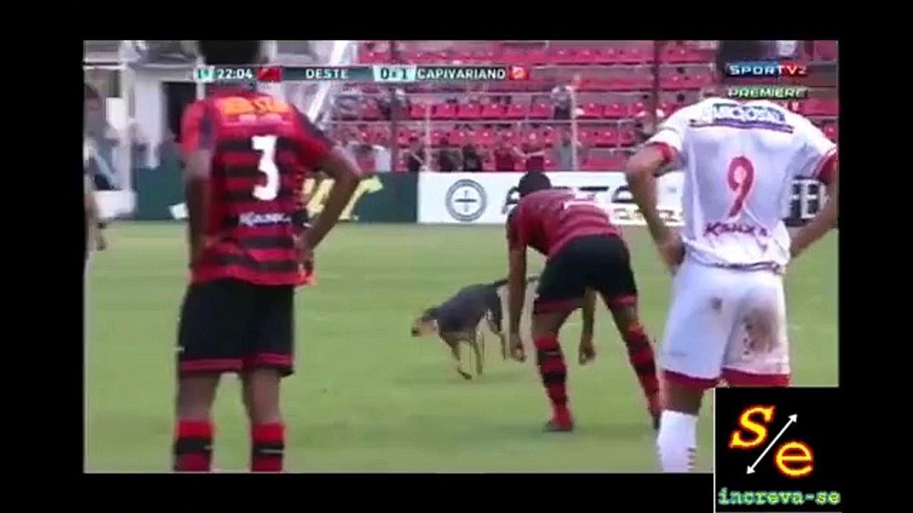 Futbolcular, sahaya giren köpeği kucaklayarak çıkardı