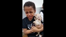 Köpek sahiplenen minik çocuk mutluluktan ağladı