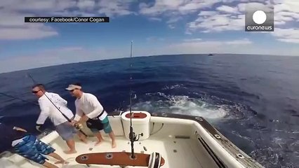 Kılıç balığı avlarken ölümden döndü!