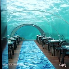 Dans ce restaurant vous manger sous l'eau dans un aquarium