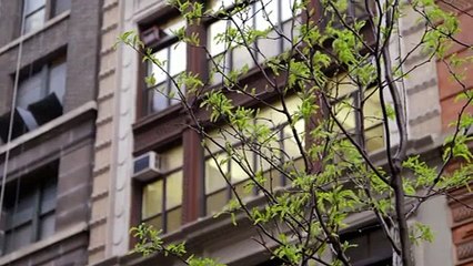 Laurieann Gibson Beyond The Spotlight S01e01