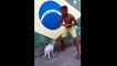 ‘Hunharca’ dans eden köpek