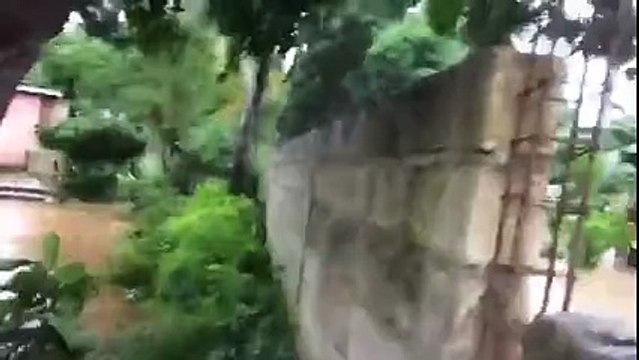 Matthew kasırgası Karayip ülkesi Haiti'yi etkisi altına aldı