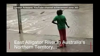 Timsahı terlikle kovaladı