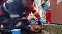 Romanya'da bir itfaiyeci, zehirlenen köpeğin hayatını suni teneffüs yaparak kurtardı