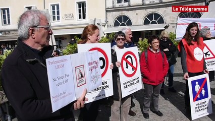 Vannes. La Cimade manifeste contre la loi asile-immigration