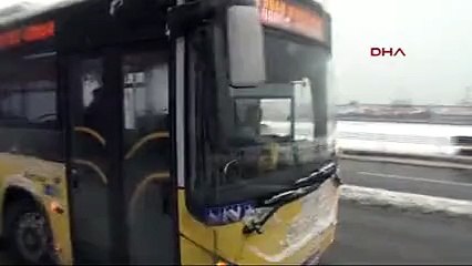 Yolda kalan tavuğu İETT şoförü kurtardı