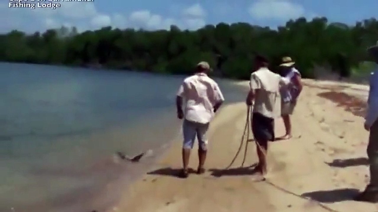 Balıkçının yakaladığı köpek balığını çalmaya çalışan timsah