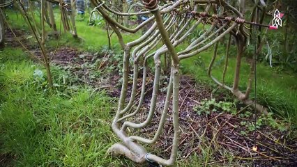 İngiliz tasarımcı mobilyalarını 'doğa' ile birlikte çalışarak yetiştiriyor