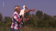 Le Vieil Homme et la Cigogne - HD (2017)