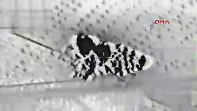 Fırat Kalkanı'nda 40 DEAŞ hedefi imha edildi