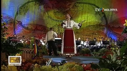 Ioana Maria Ardelean - Cin' l-o facut pe badea