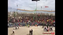 Newroz alanına bıçakla girmek isteyen kişi, polis tarafından vurularak öldürüldü
